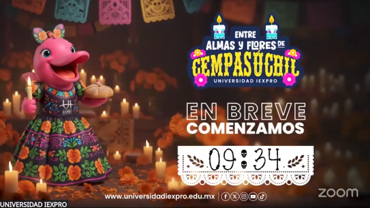 Miniatura del Video de YouTube